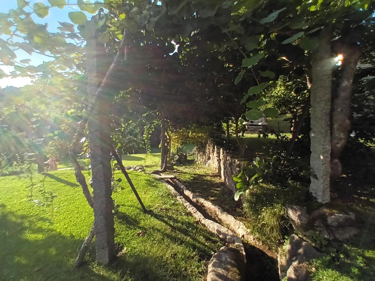 Quinta Da Chanca Paredes de Coura Exterior foto