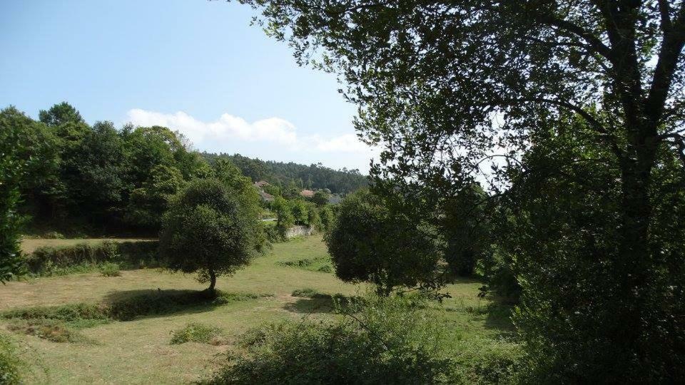 Quinta Da Chanca Paredes de Coura Exterior foto